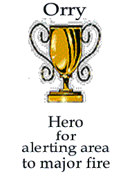 gold trophy for heroism